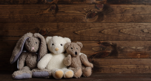 Giặt thú nhồi bông