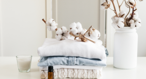 Giặt & ủi cao cấp 